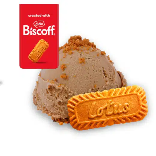 Sabor helado premium 13