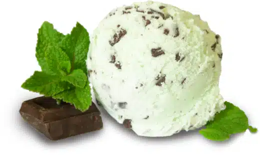 Sabor helado premium 19